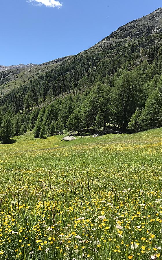 Val Senales Trekking Summer at Piccolo Hotel Gurschler