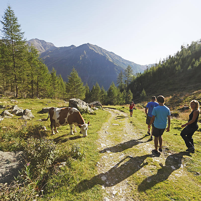 Summer Card Piccolo Hotel Gurschler in Val Senales